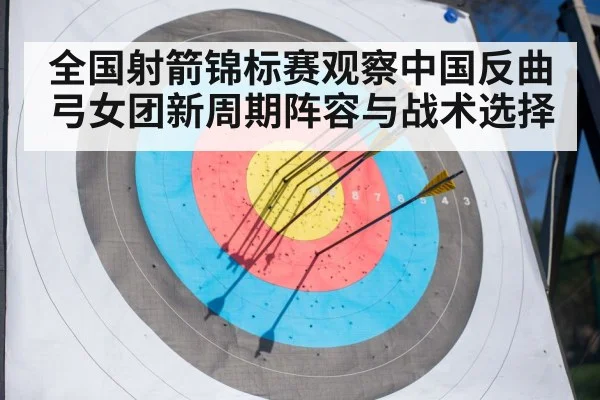 archery target arrows close up